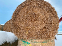 Straw for Sale