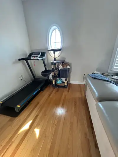Treadmill for sale 100$, View more