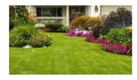 Lawn Mowing / SOD / LAWN CARE SERVICES  $40  647.492.2506