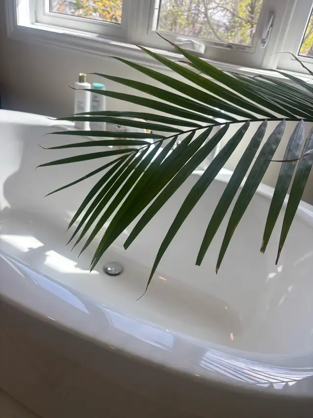 Professional Cleaning Services586009581915351042
