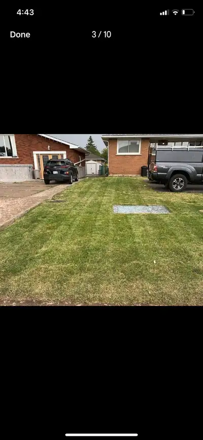 LAWN CUTTING , View more