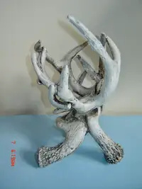 Attractive Unique Cement Staghorn Art Sculpture