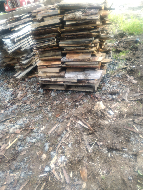 Skids of fire wood $50ea in Other in Kingston - Image 2