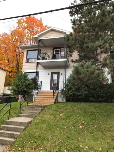 2 chambres 6 1/2 meublé/tout inclus a partir du 01 aout