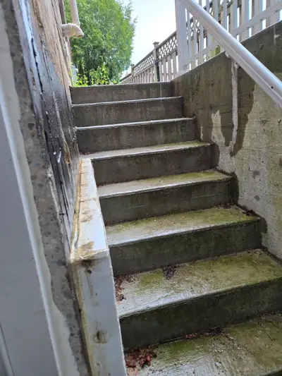 Walkup basement with 2 bedrooms in Brampton  - July 1st