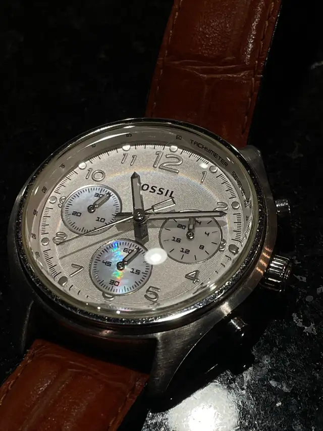 Fossil Flight62864744674561122