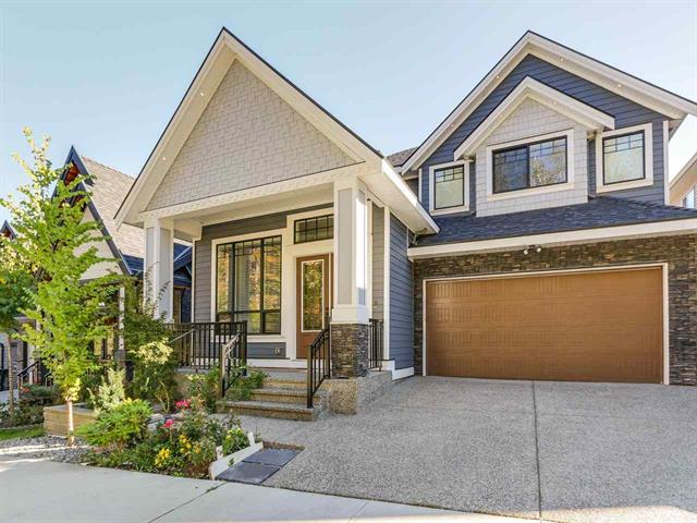 Basement suite for rent