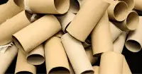 FREE LARGE BAGS OF CLEAN TOILET PAPER TUBES CRAFTING PLANTING