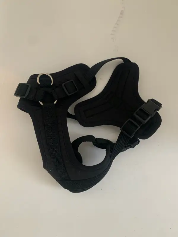 Dog harness - small in Accessories in Brantford - Image 3