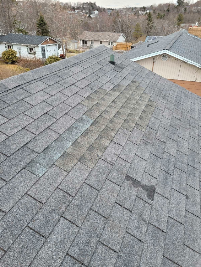 Budget Friendly Roof Services  in Roofing in Dartmouth - Image 2