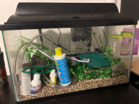 10 Gallon Fish Tank Aquarium + accesories
