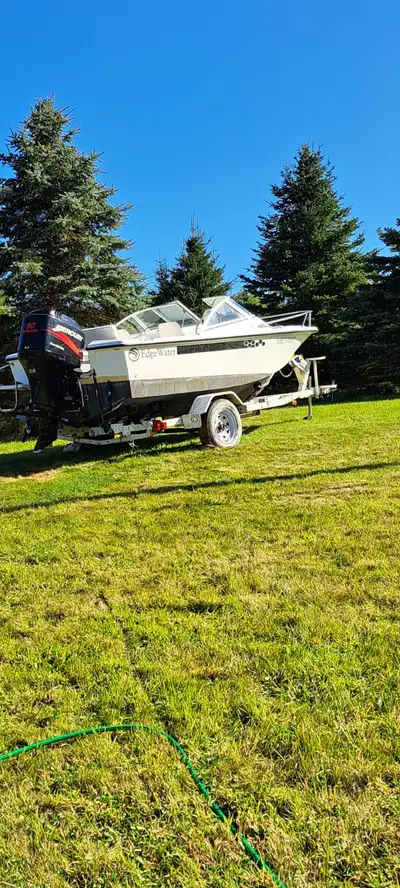 Boat is in mint condition, motor service 2024, trailer needs some repairs, comes with cover