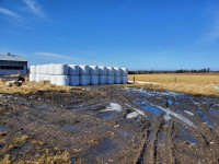 Silage Bales for sales
