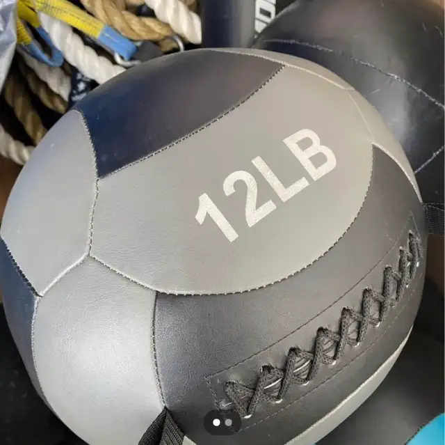 Wall Balls - 8-16lbs in Exercise Equipment in Terrace - Image 5