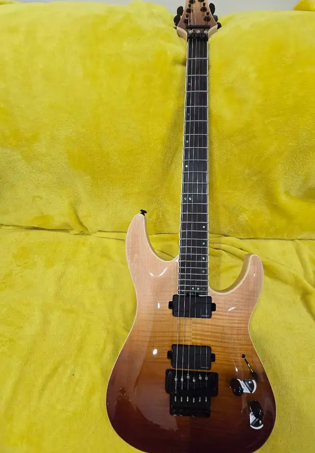 Schecter C-1 SLS Elite FR AFB electric guitar in Guitars in Markham / York Region - Image 2