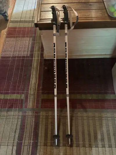 Armada Ski Poles, View more