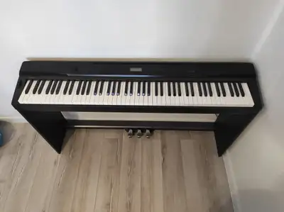 Casio Piano PX-330 + Stand+3 Pedal unit (88 weighted keys), View more
