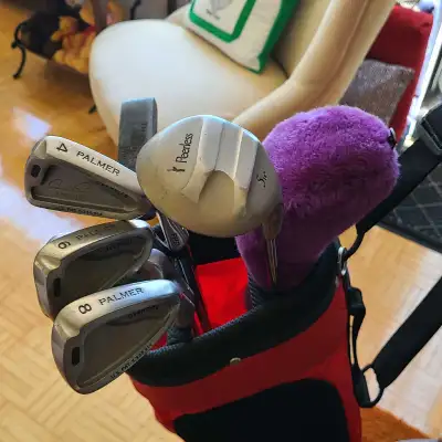 Palmer Golf Club Set with TaylorMade Bag, View more
