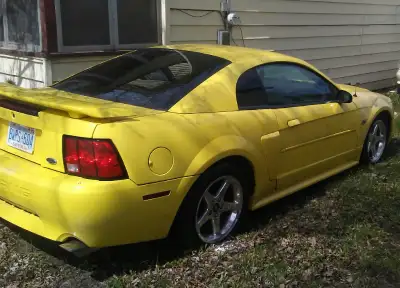 Mustang 4 sale