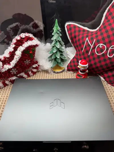 Asus TUFF 3050 i5-12500H, View more