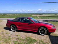 Mustang gt 95 