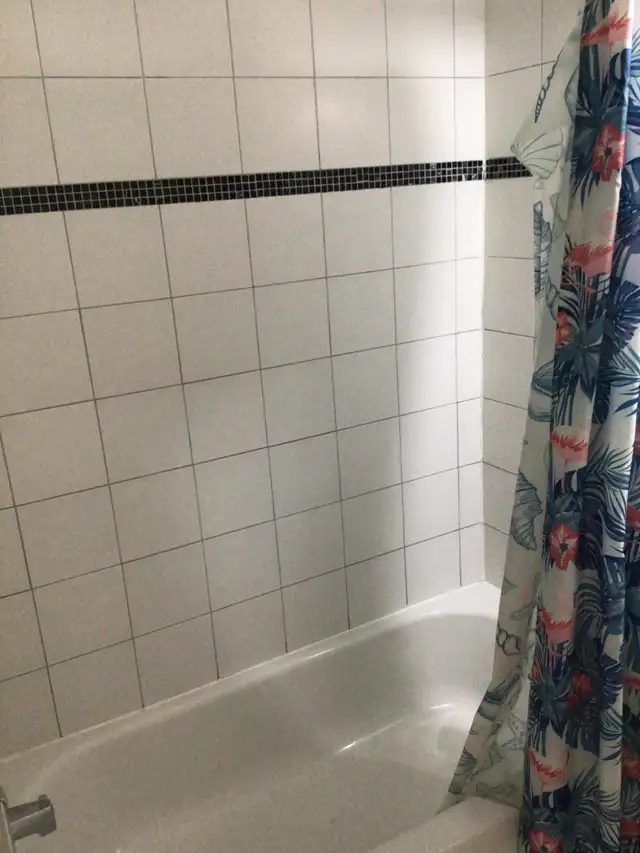 Room Near Carleton U, Algonquin College and The Civic Campus in Room Rentals & Roommates in Ottawa - Image 7