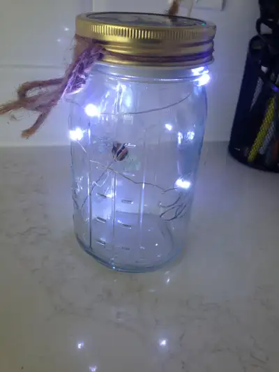 light up firefly in jar that flys around $5, View more
