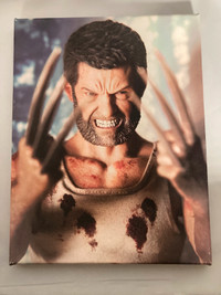 Loan Wolverine 11x14 Art Canvas