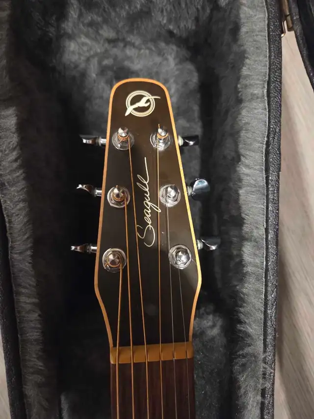 Guitare acoustique seagull in Guitars in Laurentides - Image 4