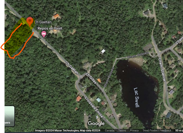 Terrain de 10000 pied carree a Vendre proche du Lac Swell dans Terrains à vendre  à Laurentides - Image 2