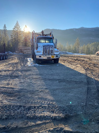 2015 Westerstar 4900 SB Tri drive logging truck