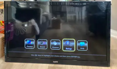 Sanyo 50” DCD HD TV, View more