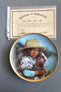 China Collector Plate