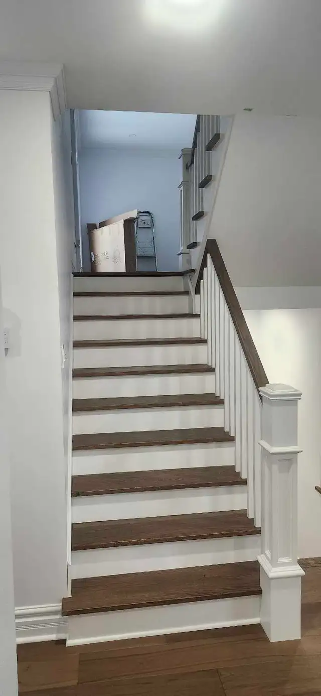 Experienced Professional Painters569242524950220802