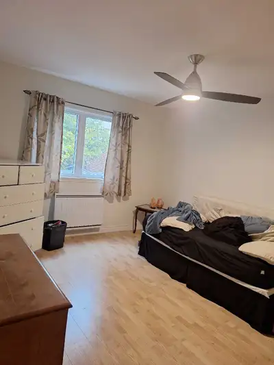 Prês de tout les service personne tranquillep0ir plus de tenseillement communiqué au 4388389955