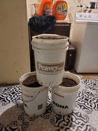 45 Ibs mixed soil in 5 gallon container $5