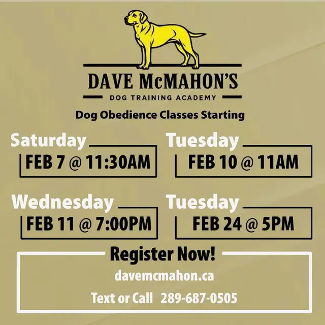 February Dog obedience class65226793725570120