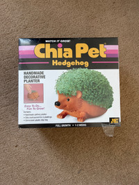 Brand new hedgehog chia pet