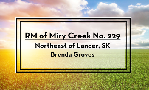 LAND FOR SALE - RM OF MIRY CREEK NO. 229 Owner: Brenda Groves Northeast of Lancer, SK BIDS DUE: Febr...