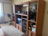 Wall unit for tv and storage 