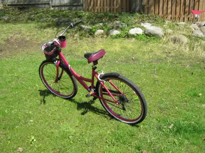26" Ladies Susan G Komen Bike, View more