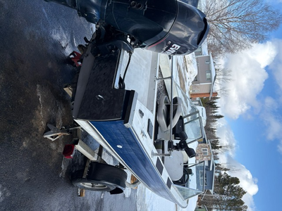2000 Harbercraft 16.5 ft 75hp Evenrude e tec plus 5hp mercury trolling motor 2000 road runner traile...