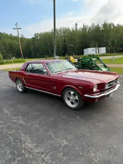 65 Mustang Muscle car. (4605 miles since comple Refurb, 351W (400+HP), (650 cfm) Demon Carb, Custom...