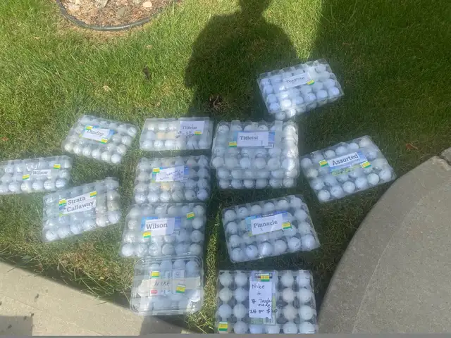 Assorted Golf balls -  Topflite, Pinnacle, Titleist, Nike,541618094138337289