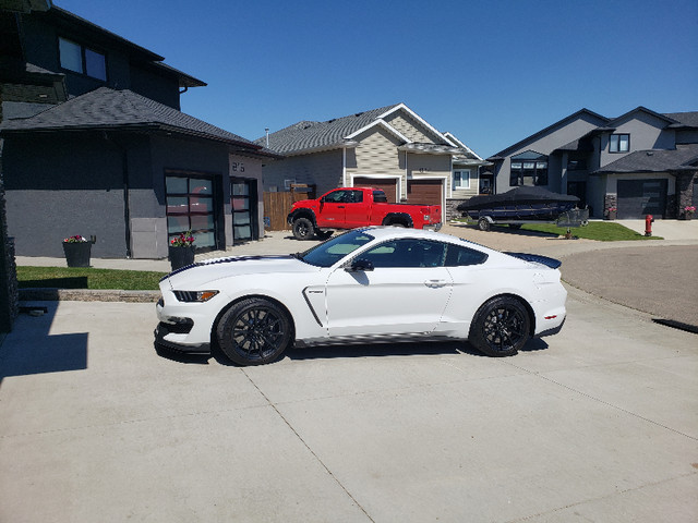 *Rare* 2018 Ford Shelby GT350 in Cars & Trucks in Saskatoon - Image 2