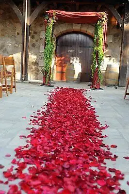 100 Affordable Fake Rose Petals, View more