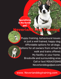 Dog training/services