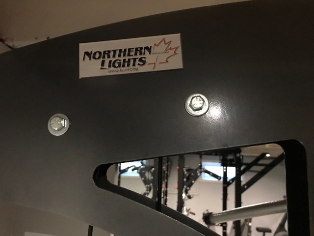 Northern lights Lat pulldown seated row in Exercise Equipment in Oakville / Halton Region - Image 4