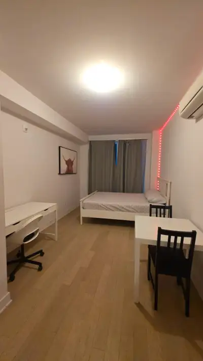 Furnished Studio/Bachelor for rent - Downtown/Griffintown