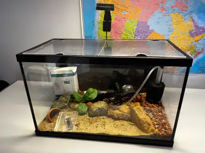 Aquarium 5 gallons équipé, View more